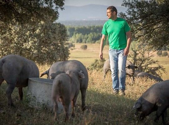 Porc Ibérique Transgourmet Origine
