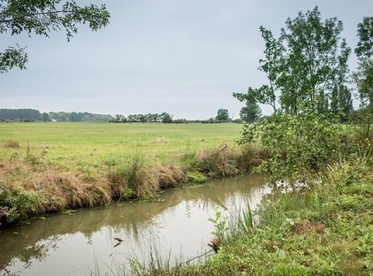 Paysage vendéen