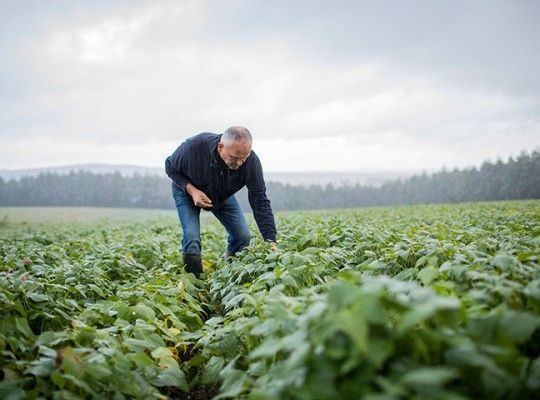 Légumes surgelés de Bretagne et Pays de la Loire Transgourmet Origine
