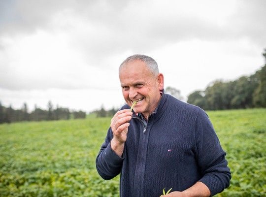 Légumes surgelés de Bretagne et Pays de la Loire Transgourmet Origine