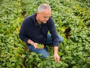 Légumes surgelés de Bretagne et Pays de la Loire Transgourmet Origine