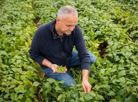 Légumes surgelés de Bretagne et Pays de la Loire Transgourmet Origine