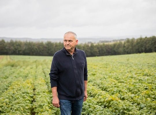 Légumes surgelés de Bretagne et Pays de la Loire Transgourmet Origine