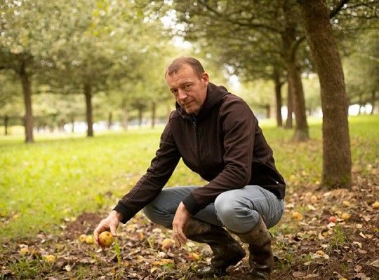 Producteur de pommes