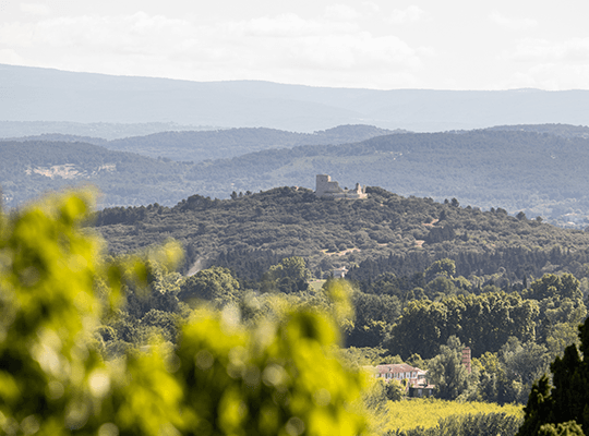 Paysage de Provence