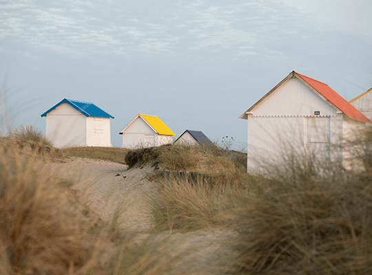 Les moules et huîtres de Gouville-Sur-Mer Transgourmet Origine