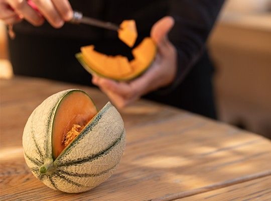 Melons de Cavaillon et les fraises Cléry de Carpentras Transgourmet Origine