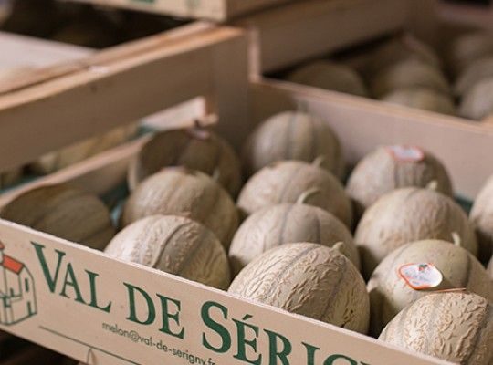 Melon Charentais IGP du Haut Poitou Transgourmet Origine