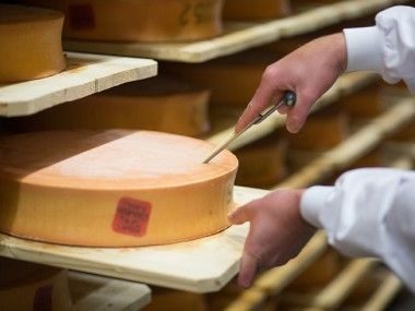 Abondance AOP Réserve de Fillinges Transgourmet Origine