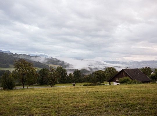 Les prés des vaches Abondance