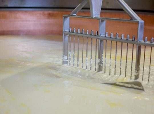 Fabrication de l'Abondance AOP Réserve de Fillinges Transgourmet Origine