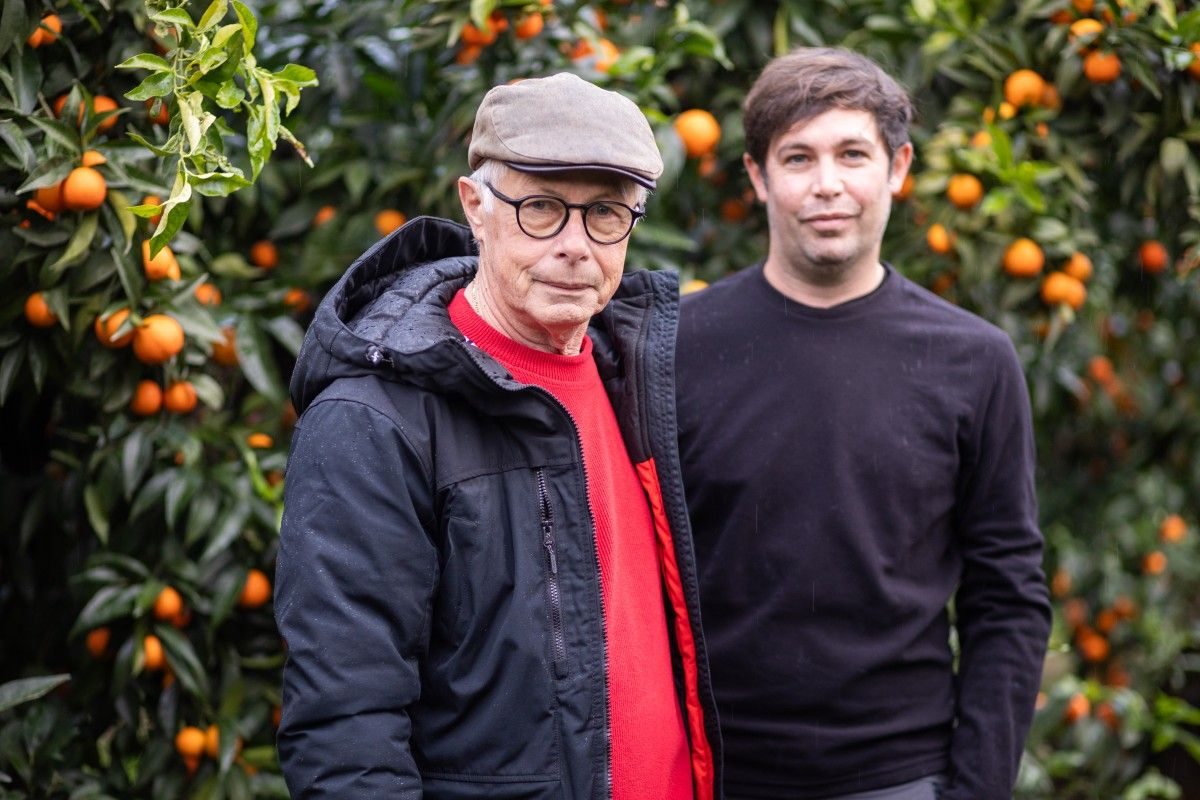 Producteurs de clémentines de Corse
