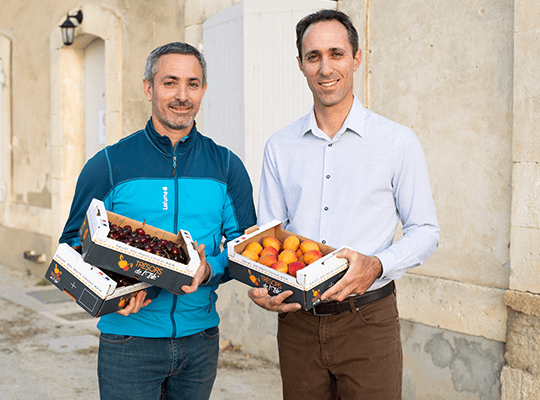 Producteurs de cerises et abricots de Provence-Alpes-Côte d'Azur Transgourmet Origine
