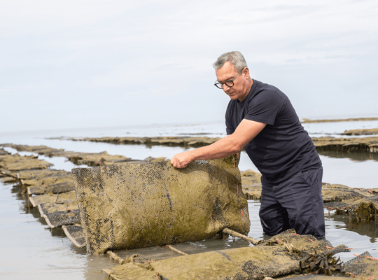 Les moules et huîtres de Gouville-Sur-Mer Transgourmet Origine