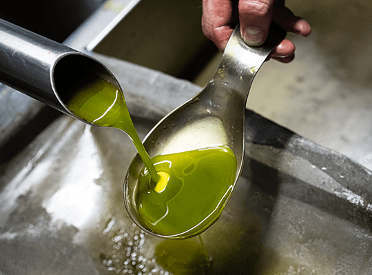 Huile d'olive de la vallée ensoleillée du Roussillon Transgourmet Origine