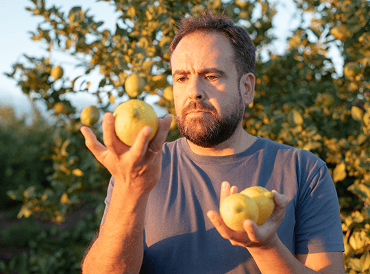 Martin, producteur de citronniers