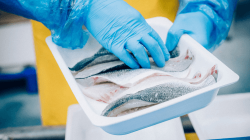 Une barquette de filets de poissons au sein de l'atelier Transgourmet Seafood