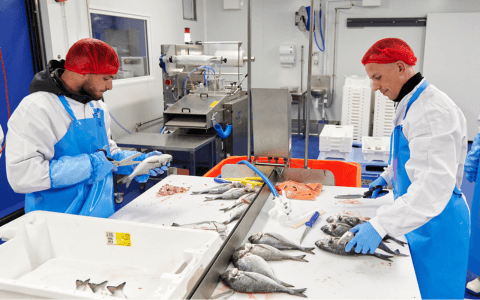 Des préparateurs au sein de notre atelier Transgourmet Seafood