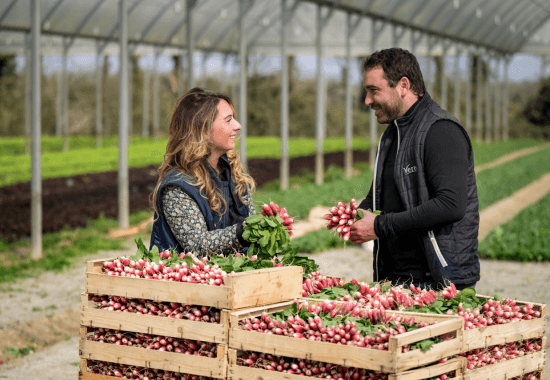 Une commerciale et un producteur de radis qui échangent