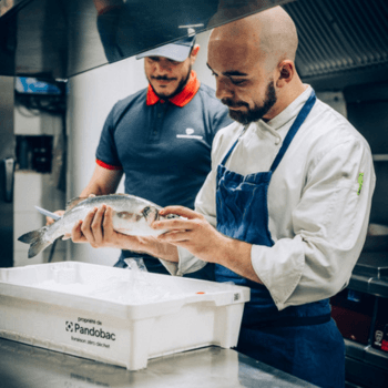 Un chef cuisinier regarde les ouïes d'un poisson frais tout juste livré dans sa cuisine