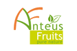 ANTEUS FRUITS
