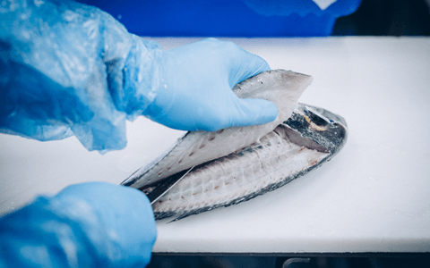 Découpe de filet de poisson