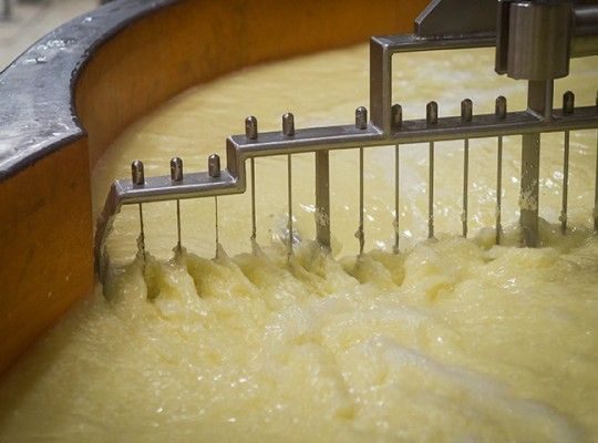 Fabrication de Comté et Morbier AOP de Franche Comté Transgourmet Origine
