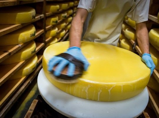 Fabrication de Comté et Morbier AOP de Franche Comté Transgourmet Origine