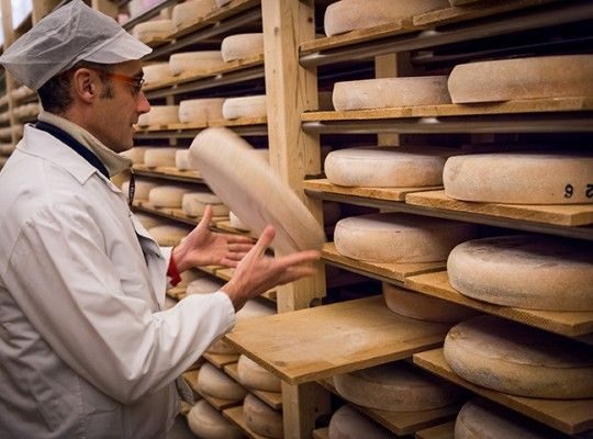 Fabrication de Comté et Morbier AOP de Franche Comté Transgourmet Origine