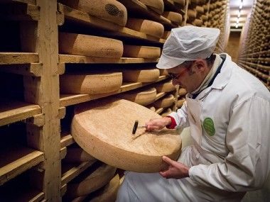 Comté et Morbier AOP de Franche Comté Transgourmet Origine