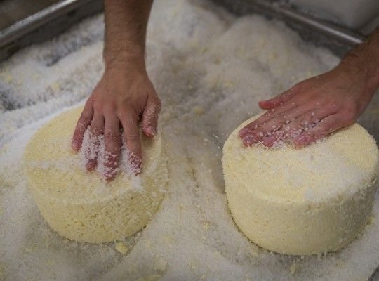 Fabrication du Bleu de Laqueuille et de la Fourme d'Ambert AOP de Laqueuille Transgourmet Origine 