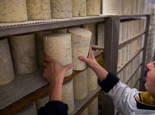 Bleu de Laqueuille et Fourme d'Ambert AOP de Laqueuille Transgourmet Origine