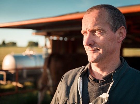Cantal AOP d'Auvergne Transgourmet Origine