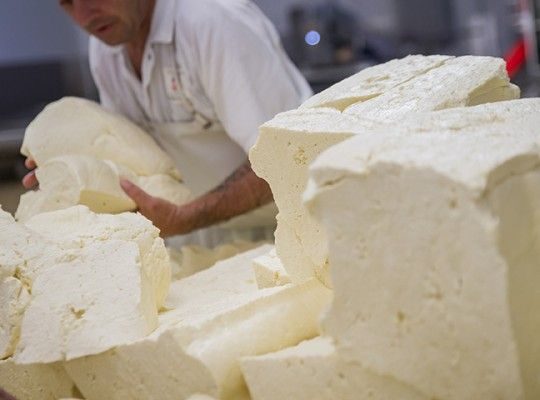 Fabrication du Cantal AOP d'Auvergne Transgourmet Origine