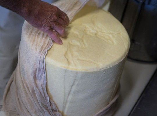 Fabrication du Cantal AOP d'Auvergne Transgourmet Origine