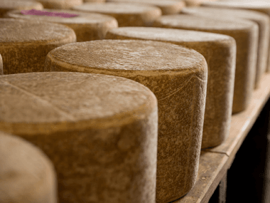 Cantal AOP d'Auvergne Transgourmet Origine
