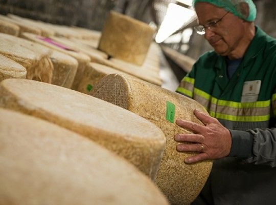 Fabrication du Cantal AOP d'Auvergne Transgourmet Origine