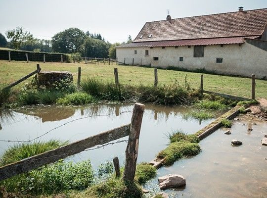 L'exploitation à Verosvre, en Charolais
