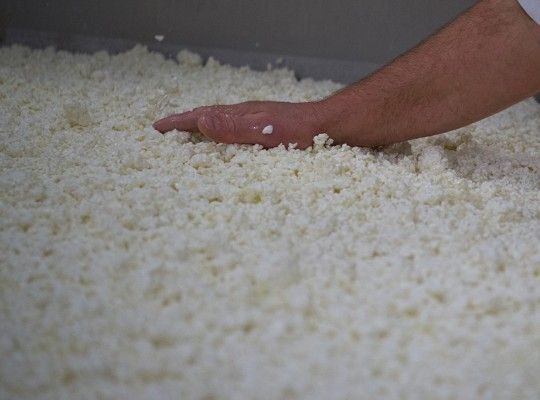 Fabrication du Breuilh de brebis, Ossau-Iraty AOP et petite tommette de brebis du Pays Basque