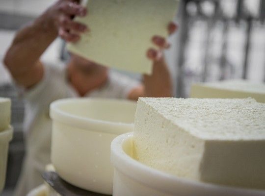 Fabrication du Breuilh de brebis, Ossau-Iraty AOP et petite tommette de brebis du Pays Basque