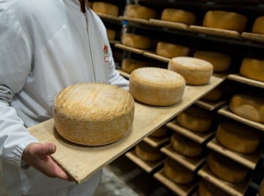 Fabrication du Breuilh de brebis, Ossau-Iraty AOP et petite tommette de brebis du Pays Basque