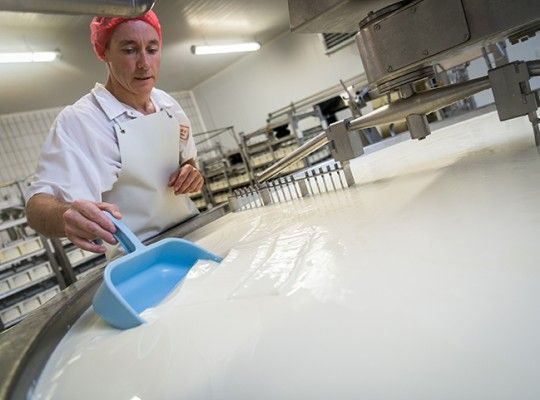 Reblochon AOP de Savoie Transgourmet Origine