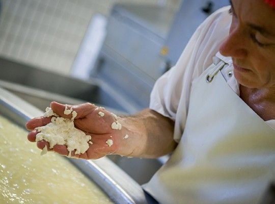 Reblochon AOP de Savoie Transgourmet Origine