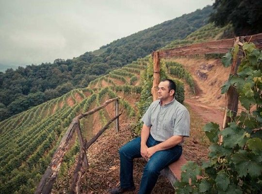 Porc du pays Basque du Domaine Abotia Transgourmet Origine