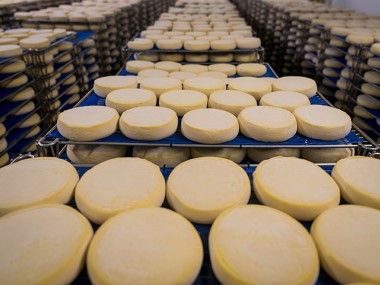 Reblochon AOP de Savoie Transgourmet Origine
