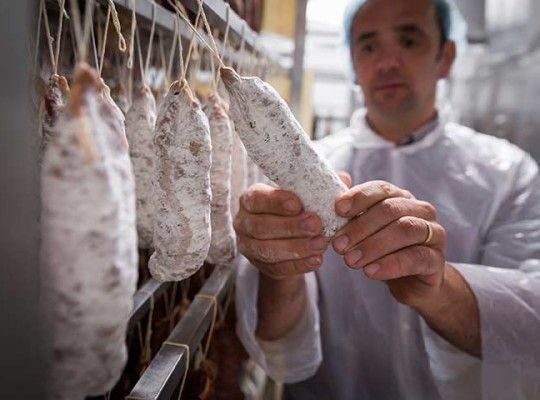 Porc du pays Basque du Domaine Abotia Transgourmet Origine