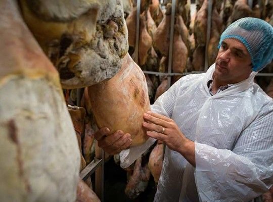 Porc du pays Basque du Domaine Abotia Transgourmet Origine