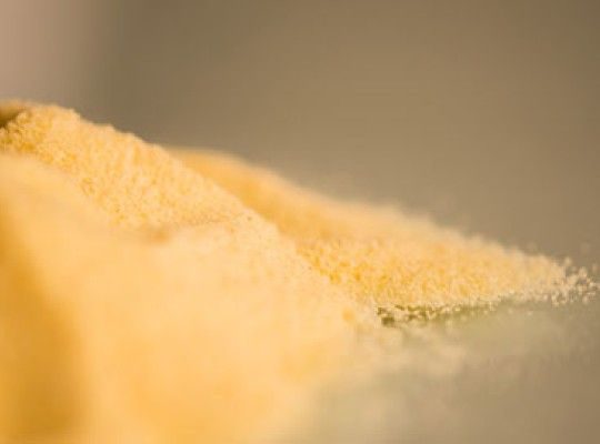 Pâtes d'Alsace IGP aux œufs frais Transgourmet Origine