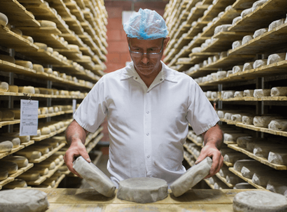 Patrick Petit, fromager, dans une cave d'affinage de Tomes des Bauges