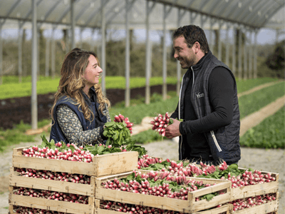 Une commerciale et un producteur de radis qui échangent